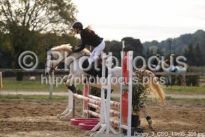Poney_3_CSO_11h05_359.jpg