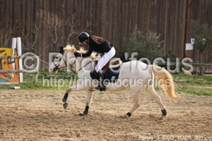 Poney_3_CSO_11h05_360.jpg