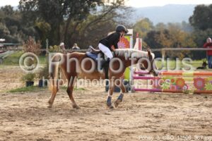Poney_3_CSO_11h06_367.jpg