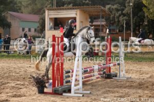Poney_3_CSO_11h08_373.jpg