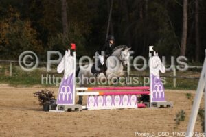 Poney_3_CSO_11h09_377.jpg