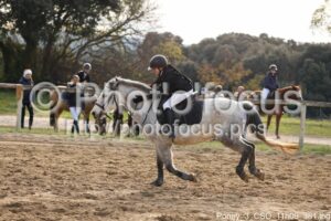 Poney_3_CSO_11h09_381.jpg