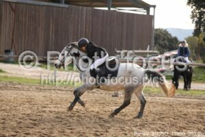 Poney_3_CSO_11h09_383.jpg