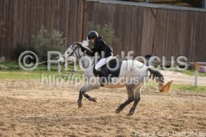 Poney_3_CSO_11h09_384.jpg