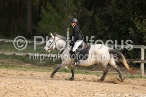 Poney_3_CSO_11h09_385.jpg