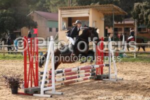 Poney_3_CSO_11h10_390.jpg
