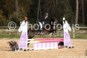 Poney_3_CSO_11h11_394.jpg