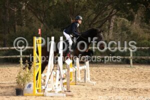 Poney_3_CSO_11h11_395.jpg