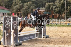 Poney_3_CSO_11h11_396.jpg