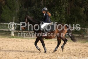 Poney_3_CSO_11h11_400.jpg