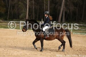 Poney_3_CSO_11h11_401.jpg