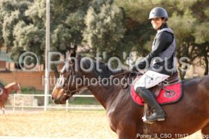 Poney_3_CSO_11h12_403.jpg