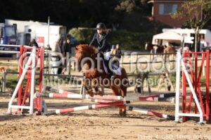 Poney_4_CSO_14h00_001.jpg