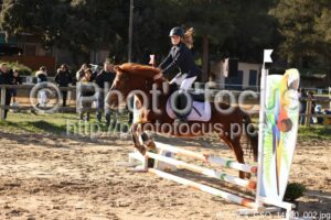Poney_4_CSO_14h00_002.jpg