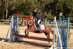 Poney_4_CSO_14h01_003.jpg