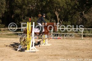 Poney_4_CSO_14h01_005.jpg