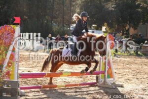 Poney_4_CSO_14h01_006.jpg