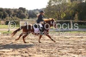 Poney_4_CSO_14h01_008.jpg