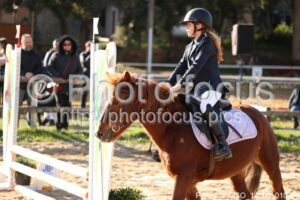 Poney_4_CSO_14h02_010.jpg