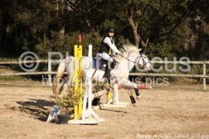Poney_4_CSO_14h03_015.jpg