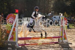 Poney_4_CSO_14h03_016.jpg
