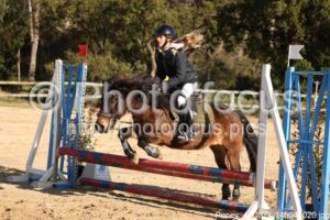 Poney_4_CSO_14h04_020.jpg