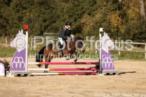 Poney_4_CSO_14h04_021.jpg