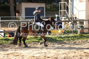 Poney_4_CSO_14h05_025.jpg