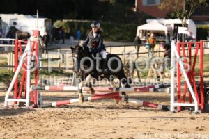 Poney_4_CSO_14h06_029.jpg