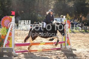 Poney_4_CSO_14h06_034.jpg