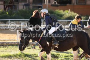 Poney_4_CSO_14h07_037.jpg