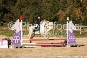 Poney_4_CSO_14h08_042.jpg