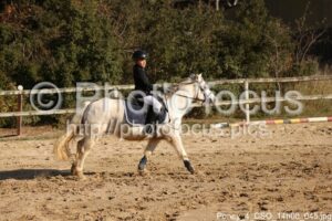 Poney_4_CSO_14h08_045.jpg