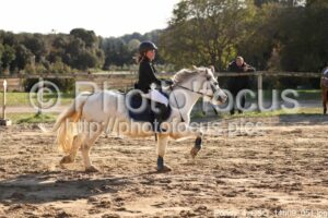 Poney_4_CSO_14h09_051.jpg