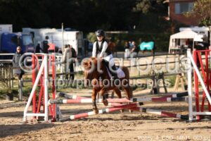 Poney_4_CSO_14h11_060.jpg