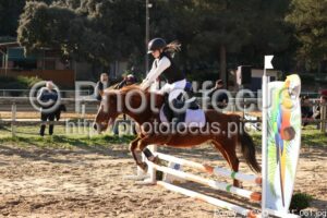 Poney_4_CSO_14h11_061.jpg
