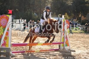 Poney_4_CSO_14h12_065.jpg