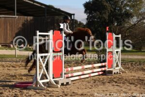 Poney_4_CSO_14h12_066.jpg