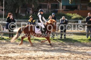 Poney_4_CSO_14h12_067.jpg