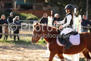 Poney_4_CSO_14h12_069.jpg