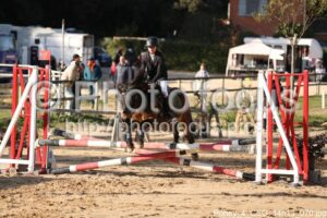 Poney_4_CSO_14h13_070.jpg