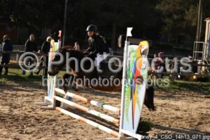 Poney_4_CSO_14h13_071.jpg