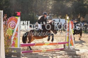 Poney_4_CSO_14h14_075.jpg