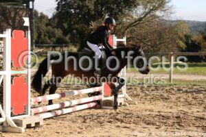 Poney_4_CSO_14h14_076.jpg
