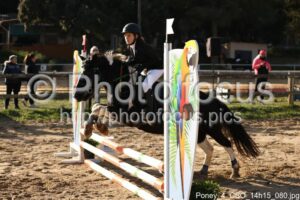 Poney_4_CSO_14h15_080.jpg