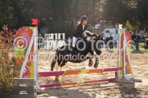 Poney_4_CSO_14h16_084.jpg