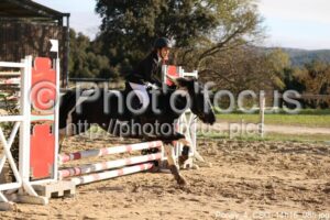 Poney_4_CSO_14h16_085.jpg