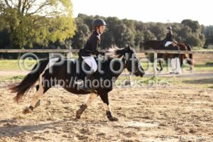 Poney_4_CSO_14h16_086.jpg