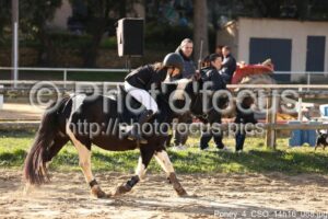 Poney_4_CSO_14h16_088.jpg