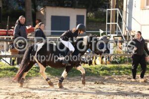 Poney_4_CSO_14h16_089.jpg